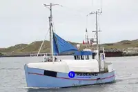 Longliner til salg