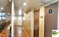 Krydstogtskib til salg
