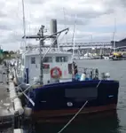 Arbejdsbåde til salg