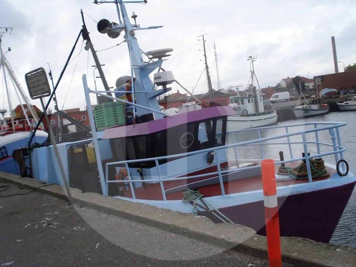 Levende fisketransportskib til salg