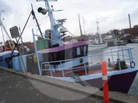 Levende fisketransportskib til salg