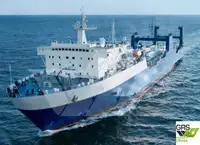 Ro-Ro ship til salg