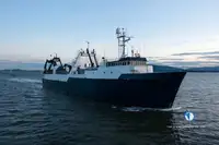 Trawler til salg