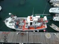 Trawler til salg