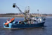 Purse seiner til salg