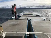 Arbejdsbåde til salg