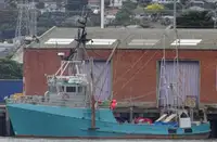 Trawler til salg
