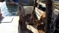 Trawler til salg
