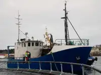 Trawler til salg