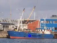 Beam-trawler til salg