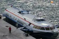 Hydrofoil til salg
