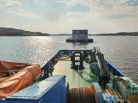 Bugserbåd til salg
