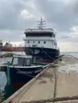 Purse seiner til salg