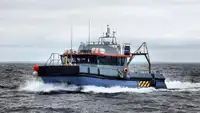 Containerskib til salg