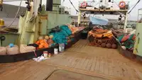 Trawler til salg