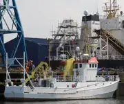 Containerskib til salg