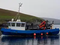 Arbejdsbåde til salg