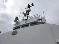 Arbejdsbåde til salg