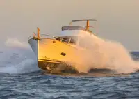 Trawler til salg
