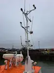 Bugserbåd til salg