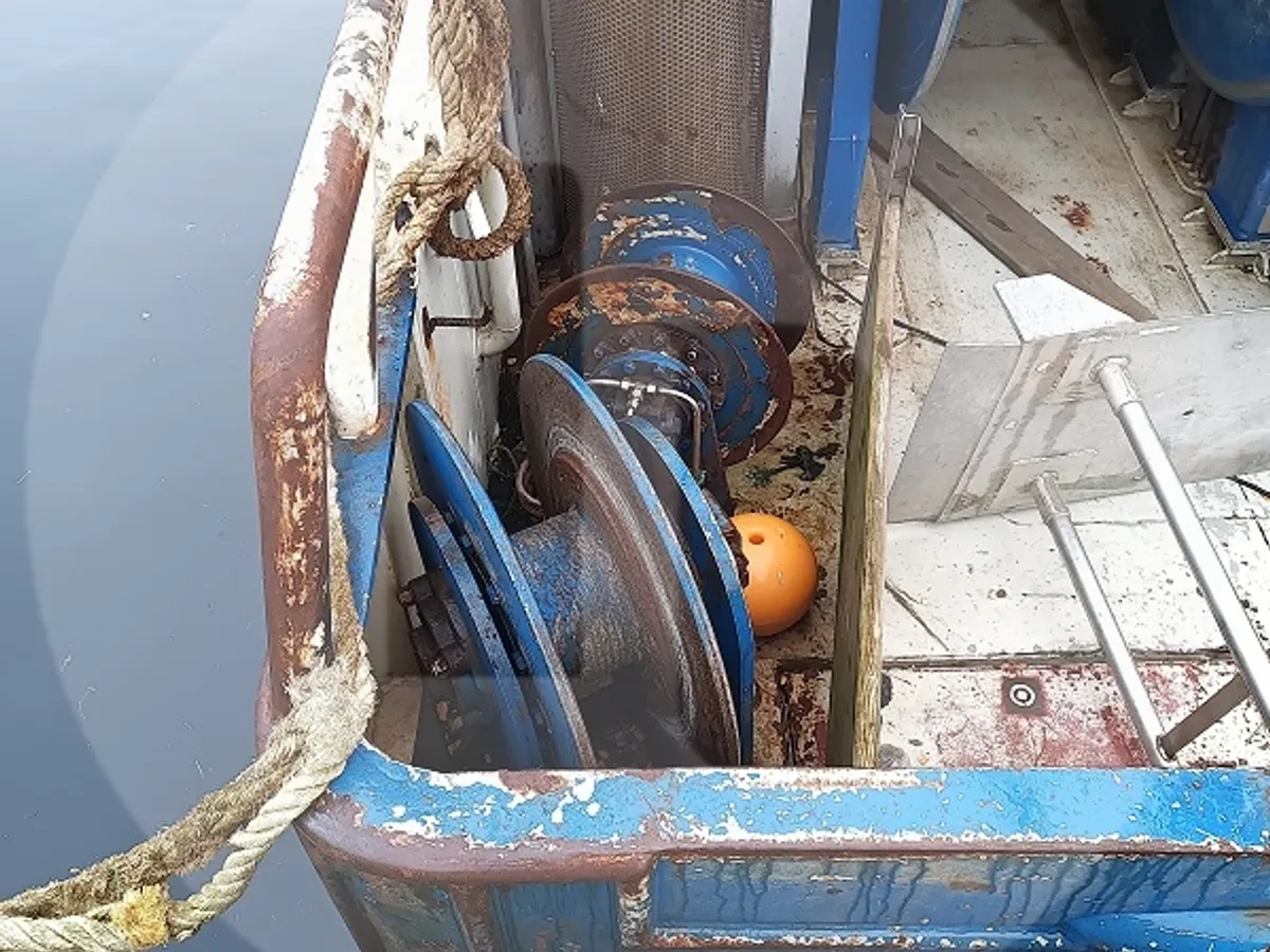 Levende fisketransportskib til salg