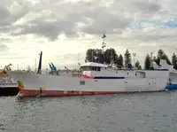 Langliner til salg