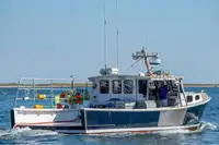 Purse seiner til salg