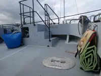 Katamaran til salg