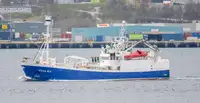 Purse seiner til salg