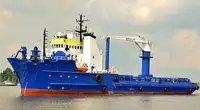 Containerskib til salg