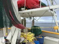 Trawler til salg