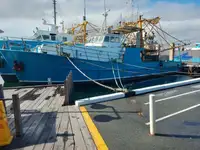 Trawler til salg