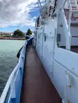 Bugserbåd til salg