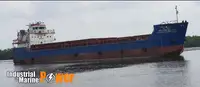 Containerskib til salg