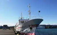 Opmålingsfartøj til salg