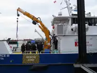 Katamaran til salg
