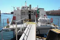 Hydrofoil til salg