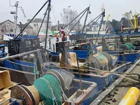 Levende fisketransportskib til salg