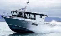 Færgefartøj til salg