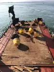 Dredge til salg