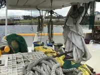 Trawler til salg