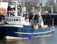Beam-trawler til salg