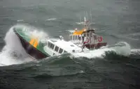 Pilotbåd til salg