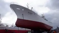 Langliner til salg