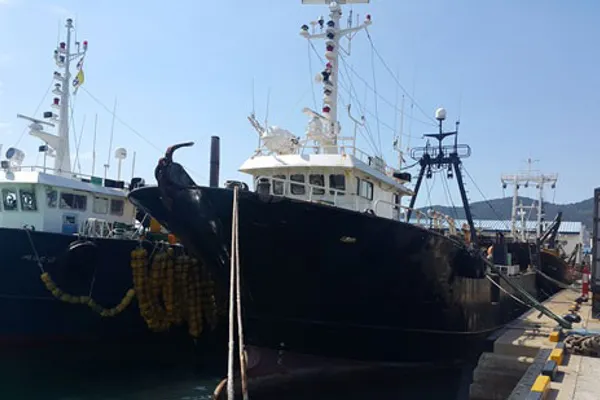 Trawler for sale