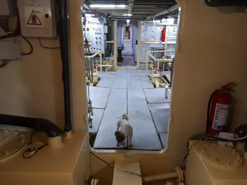 General Cargo/Multi-purpose til salg