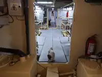 General Cargo/Multi-purpose til salg