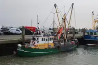 Trawler til salg
