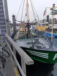 Trawler til salg