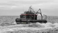 Containerskib til salg